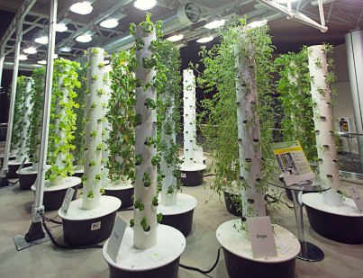 Industrial Landscape